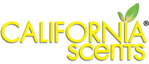 CALIFORNIA CAR Scents plechovka ľadovej vône 42g