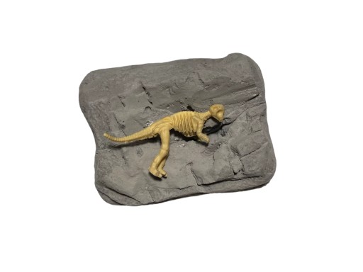 Vykopávky kostra dinosaura fosílna šedá