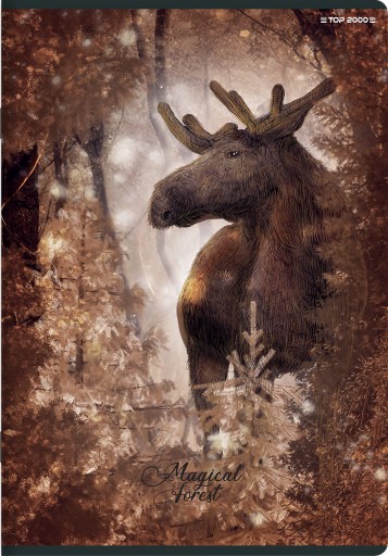 TOP 2000 NOTEBOOK FOREST ICE A5 32 mriežka S OKRAJOM