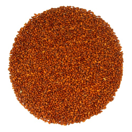 CRESS - Semená na klíčky 250g