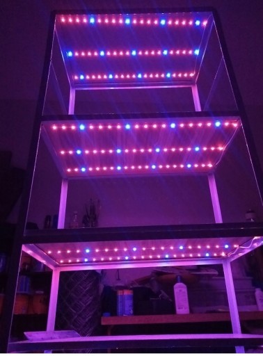 SADA LED pásik 5050 IP20 0,5 m na pestovanie rastlín