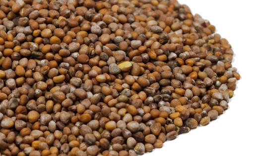 Semená klíčkov reďkovky 250 g červeného koralu