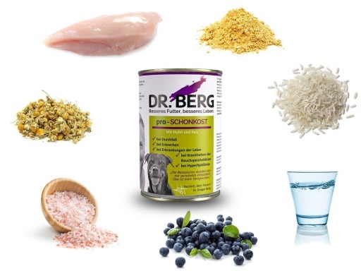 Dr BERG Pro-SCHONKOST - pankreas, pečeň, žalúdok