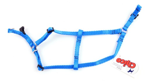 Postroj pre malého psa do 40 cm STRONG BLUE TAPE