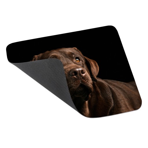 PODLOŽKA POD MYŠ PRE PSA LABRADOR