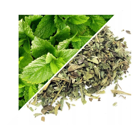 MELISA CITRÓNOVÝ LIST, REZANÝ, 50 G - LUBLIN HERBARIAN
