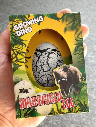 Vyliahnutie vajíčok dinosaura Pestovanie DINOSAUR T-rex Triceratops 24h