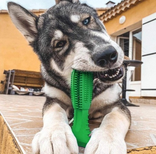 DENTÁLNA hračka pre psa, hryzátko pre šteniatka