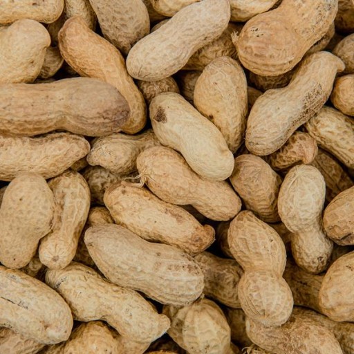 PRAŽENÉ ARAŠIDY 200g ARAŠIDY V LÚPA