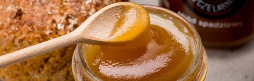 Prírodný medovicový med Nasza Pszczelarnia 190g
