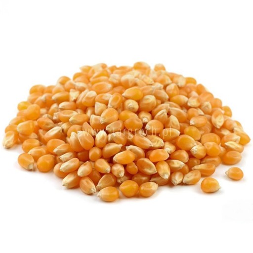 Popcorn popcorn corn grain 100g Targroch