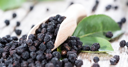 Sušená ARONIA 500g čisté Flavo