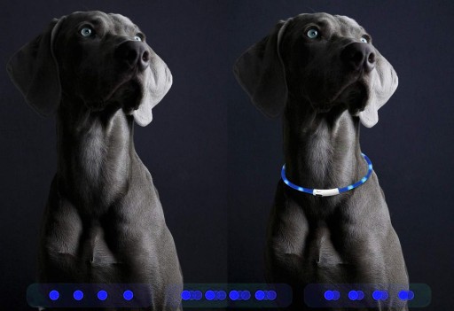SVIETIACI LED Obojok PRE PSA A MAČKU, 70 cm, MODRÁ