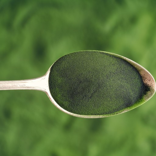 Chlorella prášok, prírodné morské riasy, 100g