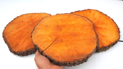 PLÁSOK DREVA PEČIATKY JLŠA 25-30CM, 1KS