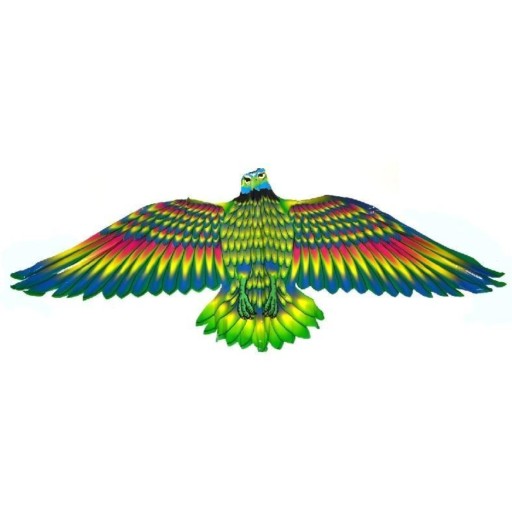 KITE