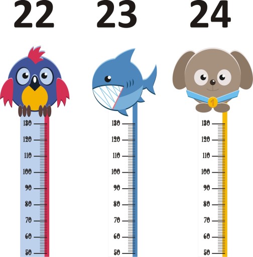 Nálepka MEASURE VÝŠKA
