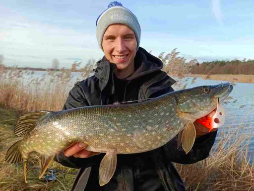 MIKADO Sicario Pike Tail guma 14cm Red Tiger