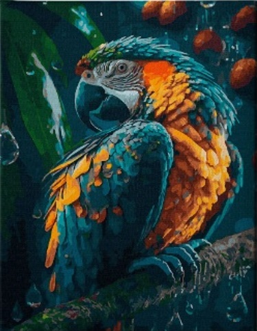 DIAMANTOVÁ MOZAIKA 30X40CM DIAMANTOVÁ VÝŠIVKA PAPÁŽ V DAŽĎI