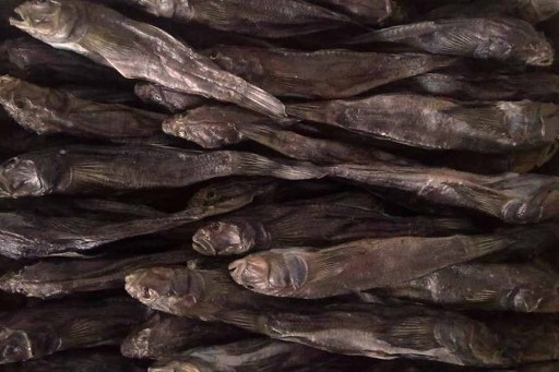 Plantain sušený, nevypitvaný, sypaný (cena za 100 g)