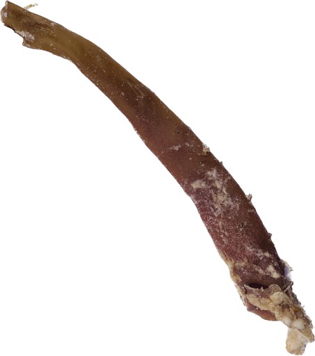 Prírodne sušená hovädzia aorta Tube Natural maškrta pre psov, 3 kusy