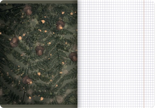 TOP 2000 NOTEBOOK FOREST ICE A5 32 mriežka S OKRAJOM