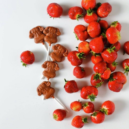 Jahodová čokoládová lízanka, bezlaktózová, bezlepková VEGAN BIO KAKAKO 15g