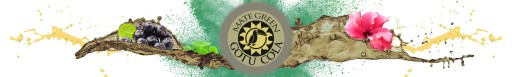 Yerba Mate Green Gotu Cola 50g Aronia Hibiskus