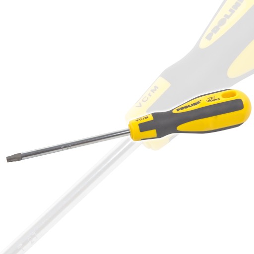 Torx skrutkovač s otvorom T8x100mm profesionálny 'S-T' Proline prívesok ZR101