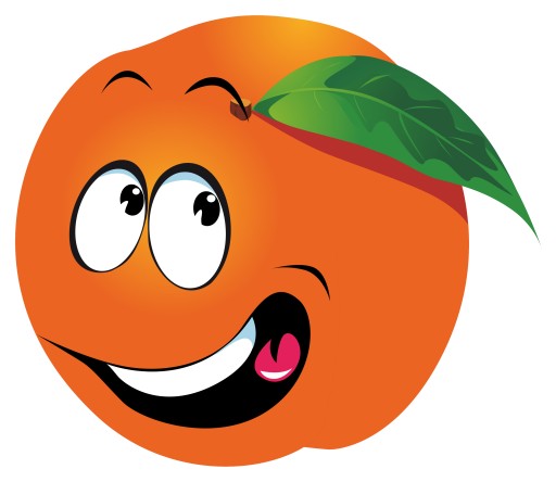 NÁLEPKA NA OKNO NÁBYTOK ZRKADLO ORANŽOVÉ OVOC