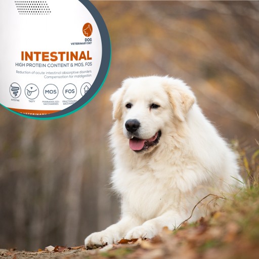 Vet Expert Intestinal vlhké krmivo pre psov s tráviacimi problémami 400g