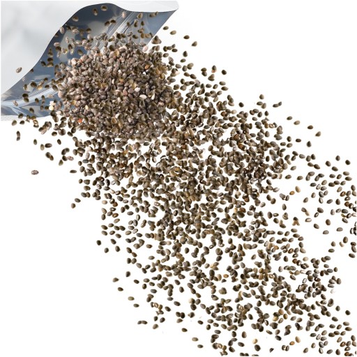 CHIA SEEDS Španielska šalvia 500g oriešok triedy A