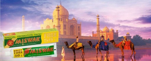 Dabur MISWAK Bylinná zubná pasta Meswak 170g VEĽKÁ