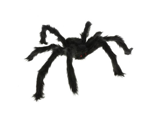 Veľký pavúk, 60 cm