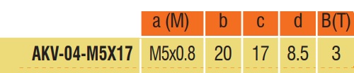 AKKO skrutka AKV 04 M5X17 MWLNR MTUNR MT-NR