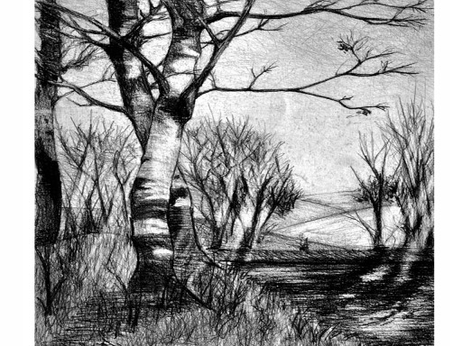 COLORINO Artist Sada ceruzky na kreslenie UHLÍM 12 kusov ceruzka 4H 2H 8B