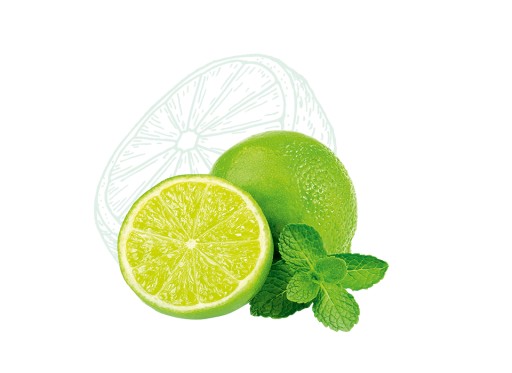 COSNATURE ECO Roll-on deodorant LIME-MINT
