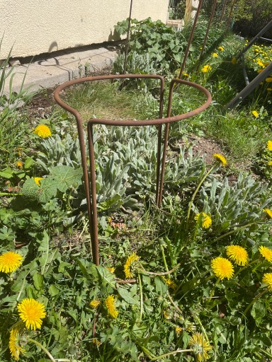 Podpera pre hortenzie, rastliny, kvety, pergola, 30/50 cm, podpery pre monstera ruže