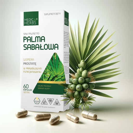 Saw Palmetto extrakt | PROSTATA MOČOVÝ SYSTÉM