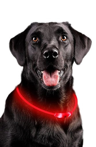 SVIETIACI LED Obojok PRE PSA A MAČKU 70cm ČERVENÝ USB NASTAVITEĽNÝ VODEODOLNÝ