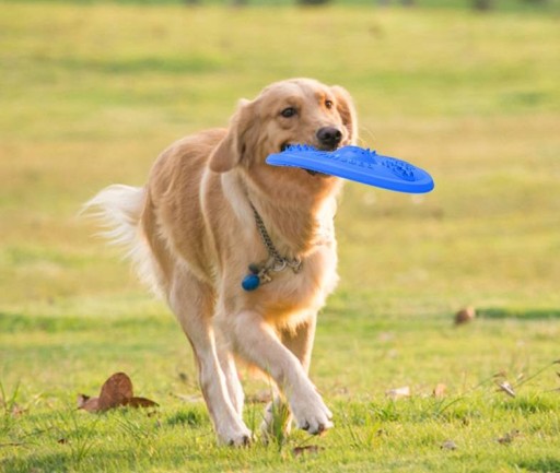FRISBEE LIETAJÚCI KOTOUČ PRE PSOV, HRUBÁK, ÚSTUPOVÁ HRAČKA