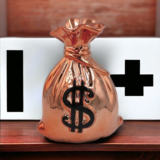 Prasiatko DOLLAR POUCH, keramické, zrkadlové, otváracie