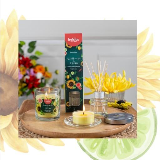 BOLSIUS Maxi vonné sviečky Čajové sviečky 8h SLNEČNICA a CITRUS 8 ks
