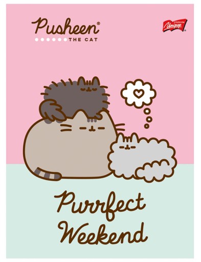 4x školský notebook A5 32k PUSHEEN Colored Line Unipap