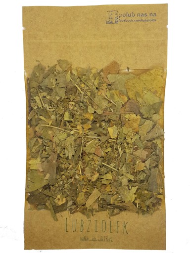 GINGKOB LOAD 200g ginko biloba LUBZIOŁEK