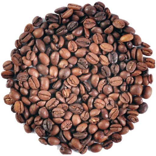 Arabica BRAZIL SANTOS Classic Coffee 100g