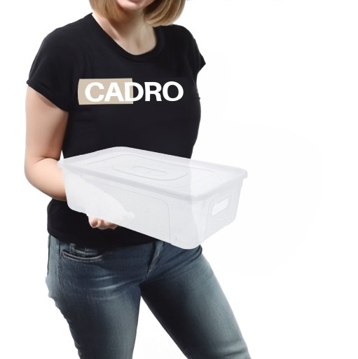Organizér plastová nádoba s krytom, 5l priehľadný box