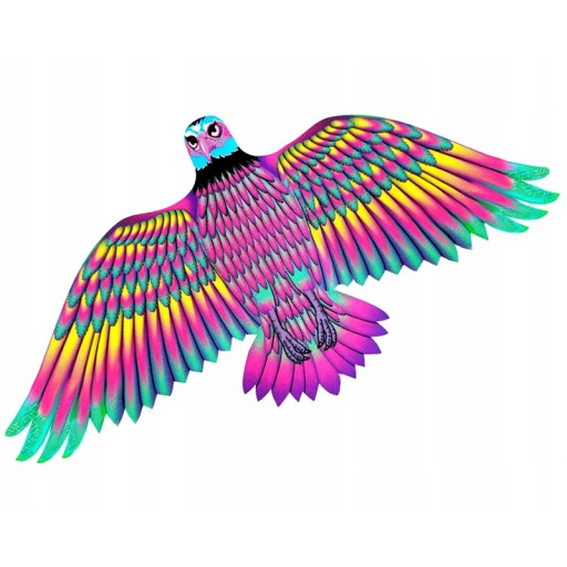 KITE