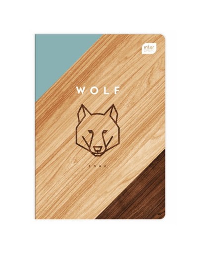 INTERDRUK NOTEBOOK A5/60 STR. 70G GRID UV TREND BOYS