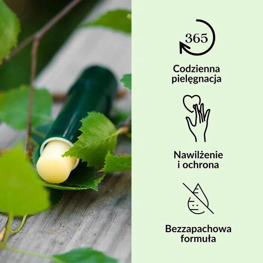 SYLVECO Ochranný rúž brezový betulín